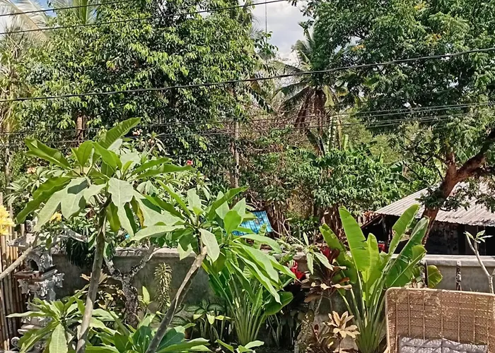 Kupanaha *